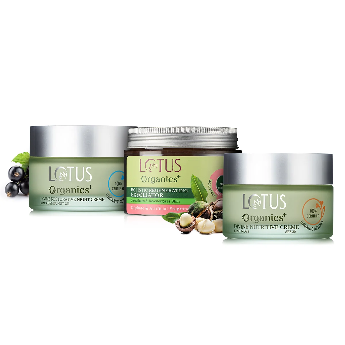 Divine Day and Night Rejuvenation Regime