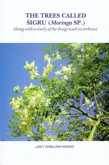 The Trees Called Sigru (Moringa SP)