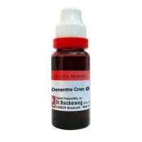 Dr Reckeweg Oenanthe Crocata Q 20ml – Epilepsy & Convulsions