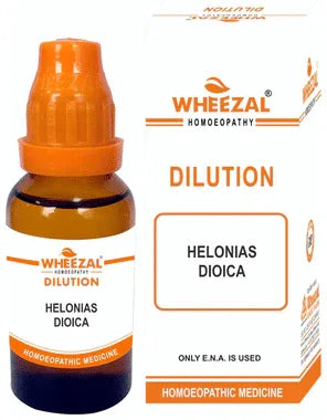 Wheezal Helonias Dioica Dilution 3X bottle of 30 ml dilution