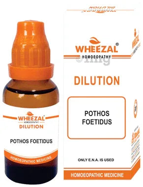 Wheezal Pothos Foetidus Dilution 6 bottle of 30 ml dilution
