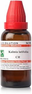 Dr.Willmar Schwabe Kalmia Latifolia Dilution - 1000 CH (30 ML)