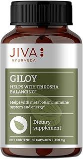 Jiva Giloy - 60 * 1 Capsule for Digestion | 100% Pure & Natural | Ageing and Immunity Boost | Herbal Supplements | Rich In Antioxidants