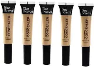Blue Heaven Photo Perfect Full Coverage Matte Concealer For All Skin Types Cream(Pack Of 5,Pink Blush, 80 G)