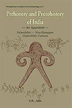 Prehistory and Protohistory of India: An Appraisal - Palaeolithic, Non-Harappan, Chalcolithic Cultures: No. 7 (Perspectives in Indian Art & Archaeology)