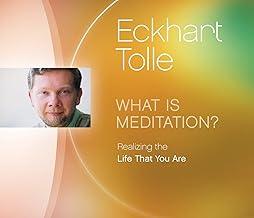 What is Meditation?: Realizing the Life That You Are