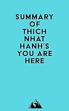 Summary of Thich Nhat Hanh's You Are Here