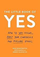 THE LITTLE BOOK OF YES