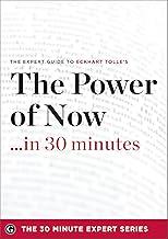 The Power of Now . . . in 30 Minutes: The Expert Guide to Eckhart Tolle's Critically Acclaimed Book