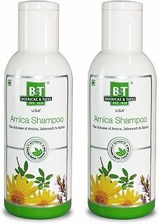 Boericke & Tafel Arnica Shampoo - Pack of 2