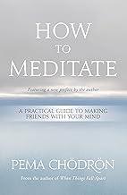 How to Meditate: A Practical Guide to Making Friends with Your Mind