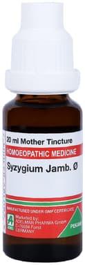 ADEL Syzygium Jambolanum Mother Tincture Q bottle of 20 ml mother tincture