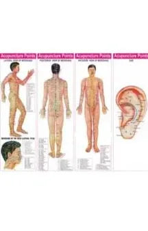 4 Acupuncture Charts