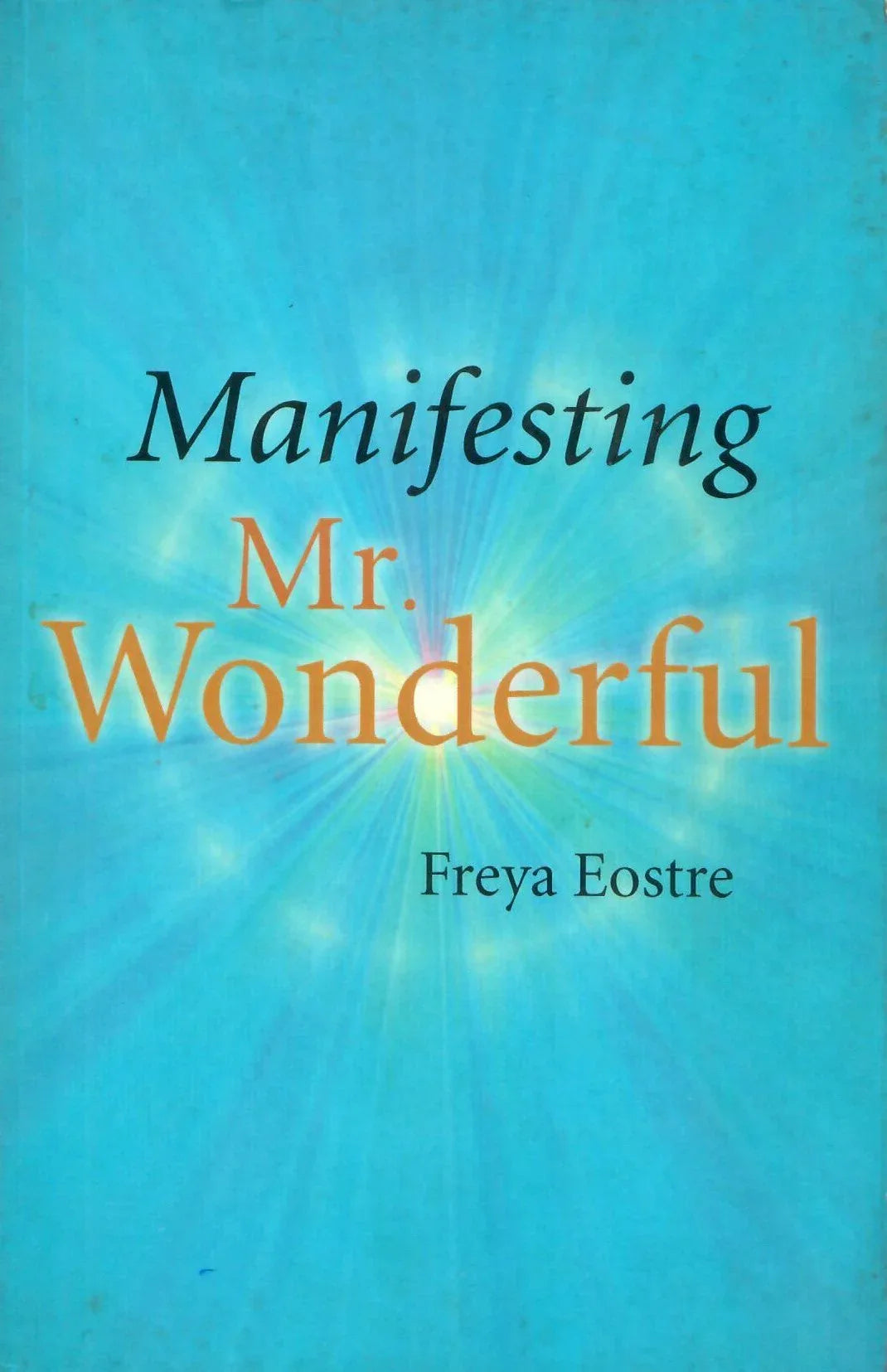 Manifesting Mr. Wonderful (2010)