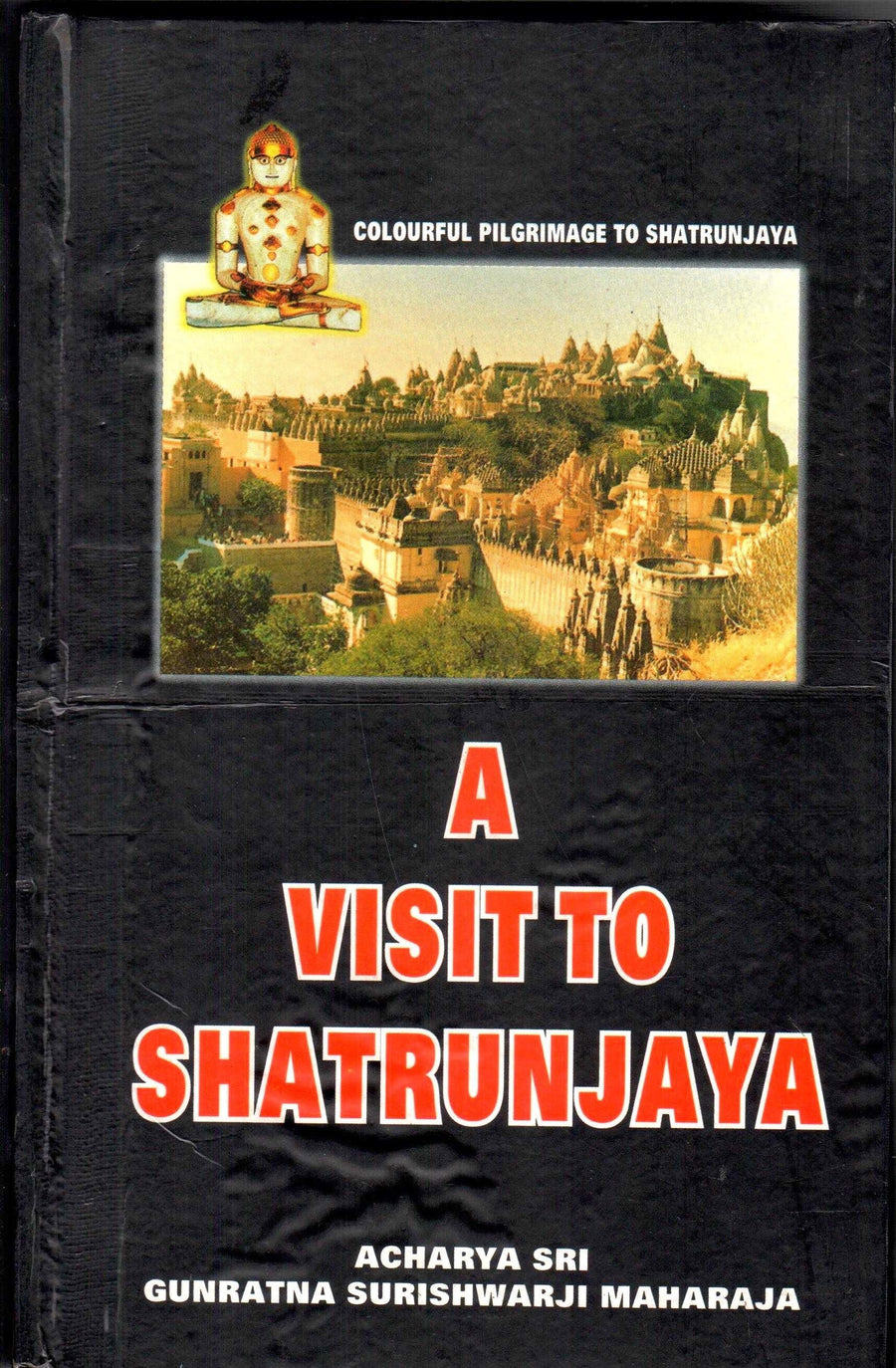 A Visit to Shatrunjaya