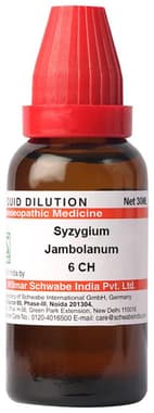 Dr Willmar Schwabe India Syzygium Jambolanum Dilution 6 CH bottle of 30 ml dilution