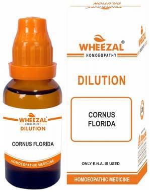 Wheezal Cornus Florida Dilution 30 bottle of 30 ml dilution