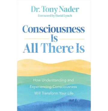 Consciousness Is All There Is