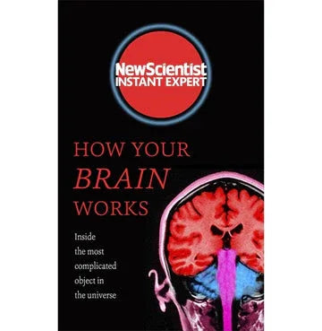How Your Brain Works