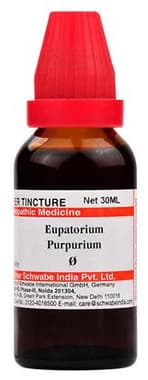 Dr Willmar Schwabe India Eupatorium Purpurium Mother Tincture Q bottle of 30 ml mother tincture