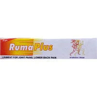 2 x  Prabhat Ayurvedic Ruma Plus Ointment (20g)