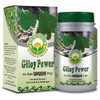 2 x  Basic Ayurveda Giloy Power Capsule (Ghansatva Cap.) (40caps)