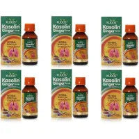 2 x  Kudos Kasolin Ginger Syrup (100ml)