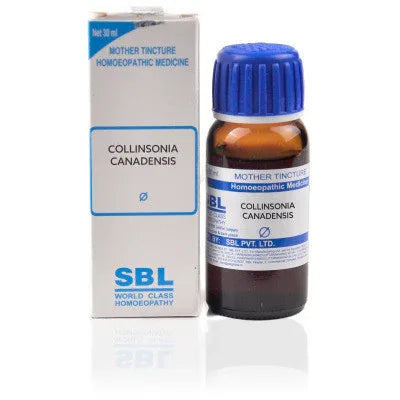 2 x SBL Collinsonia Canadensis 1X Q 30ml each
